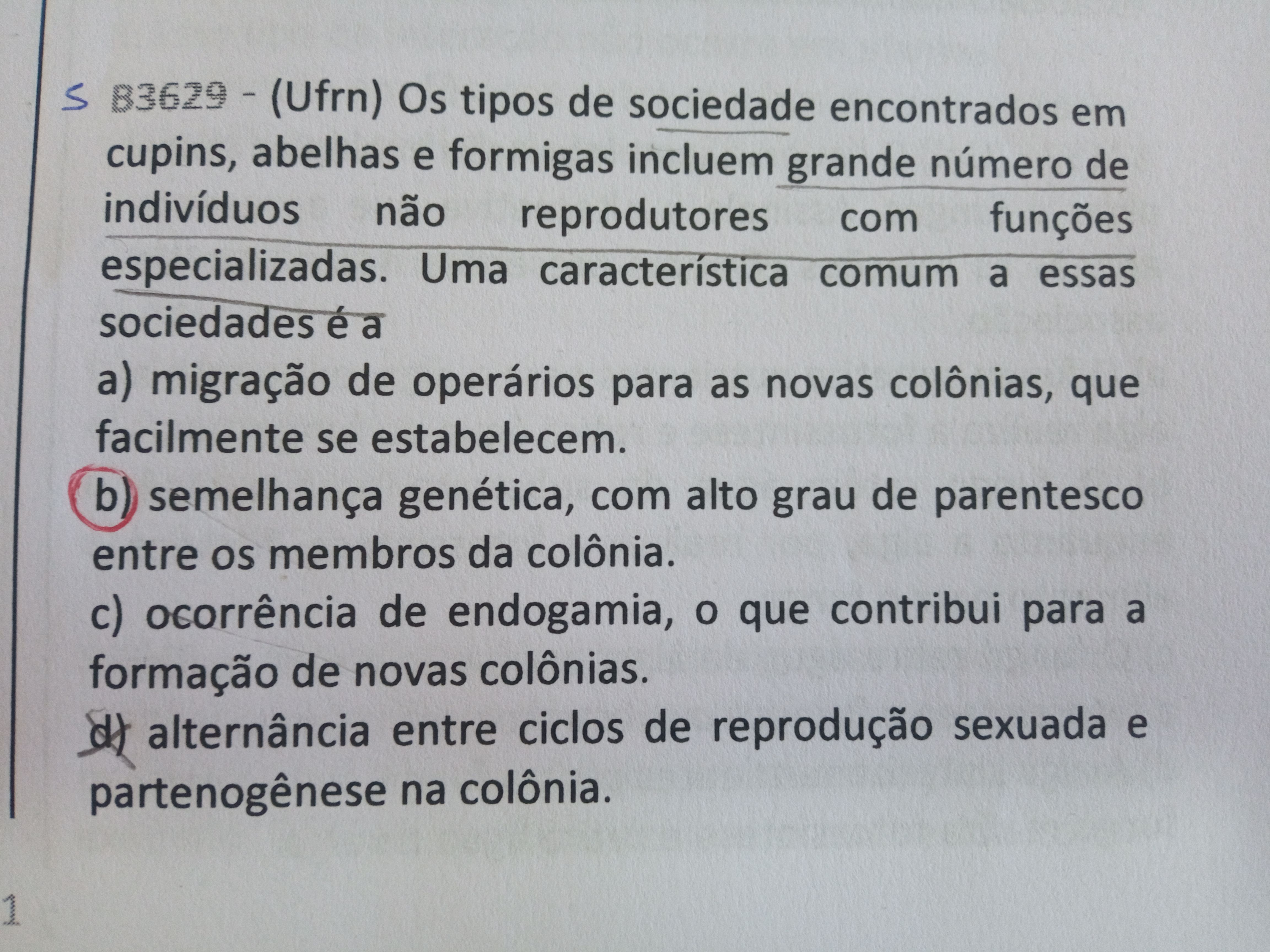 Oii Gabarito B Poderia Me Explicar Explica