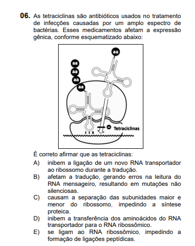 Bom dia Poderia me ajudar gabarito letra a Explicaê