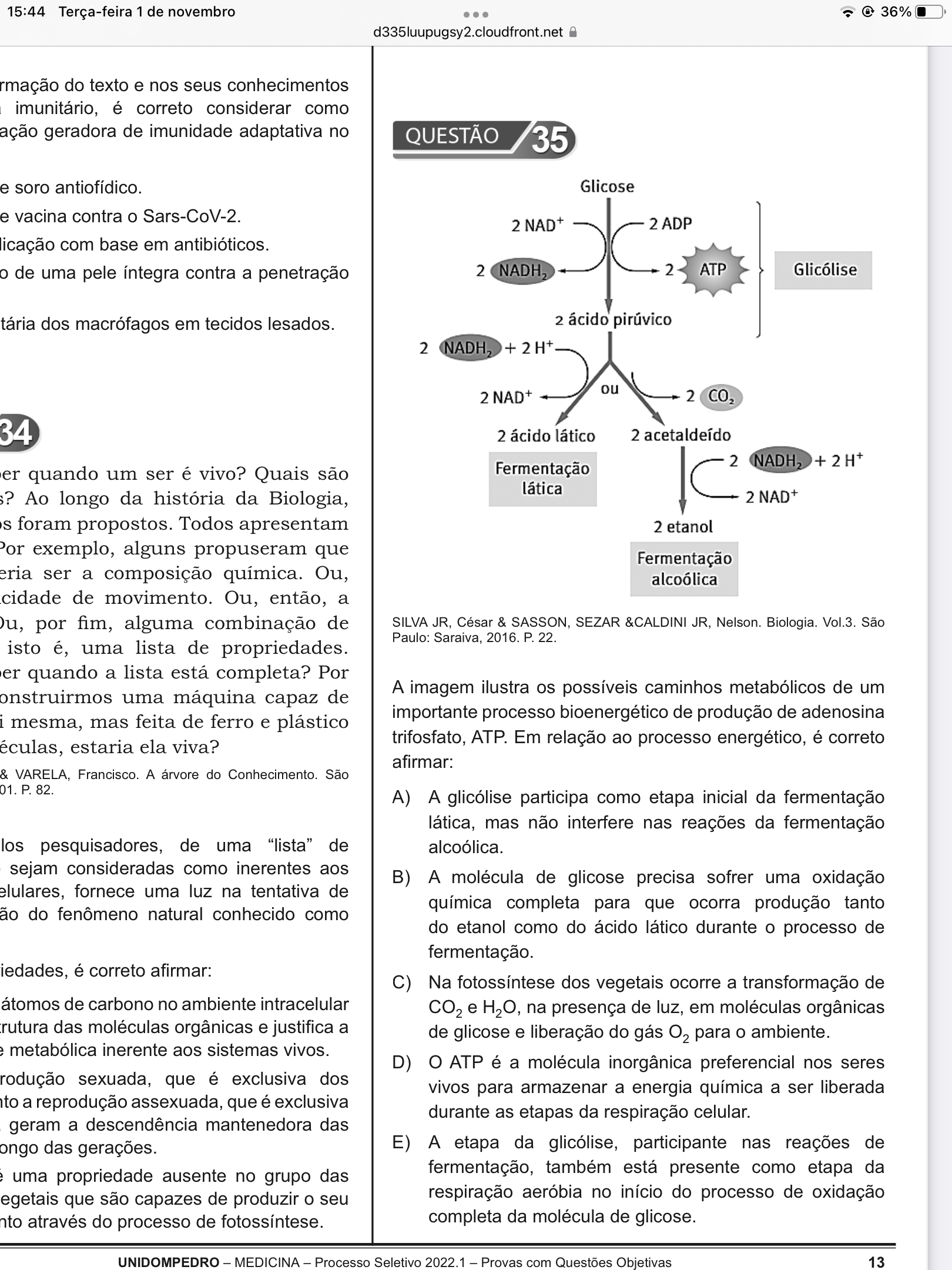 Gabarito Letra E Pode Explicar Qual Erro Da Letra C Explica