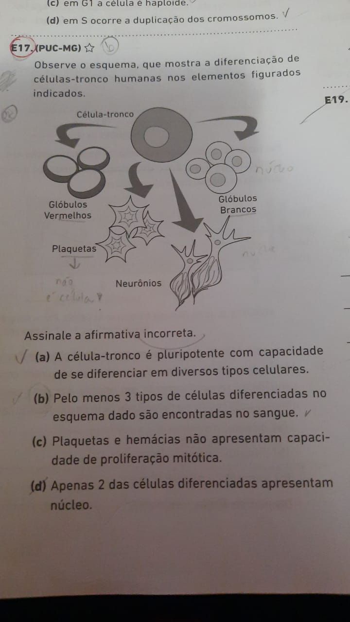 Ol Gostaria De Saber Porque A Letra E Est Correta Por Fa Explica