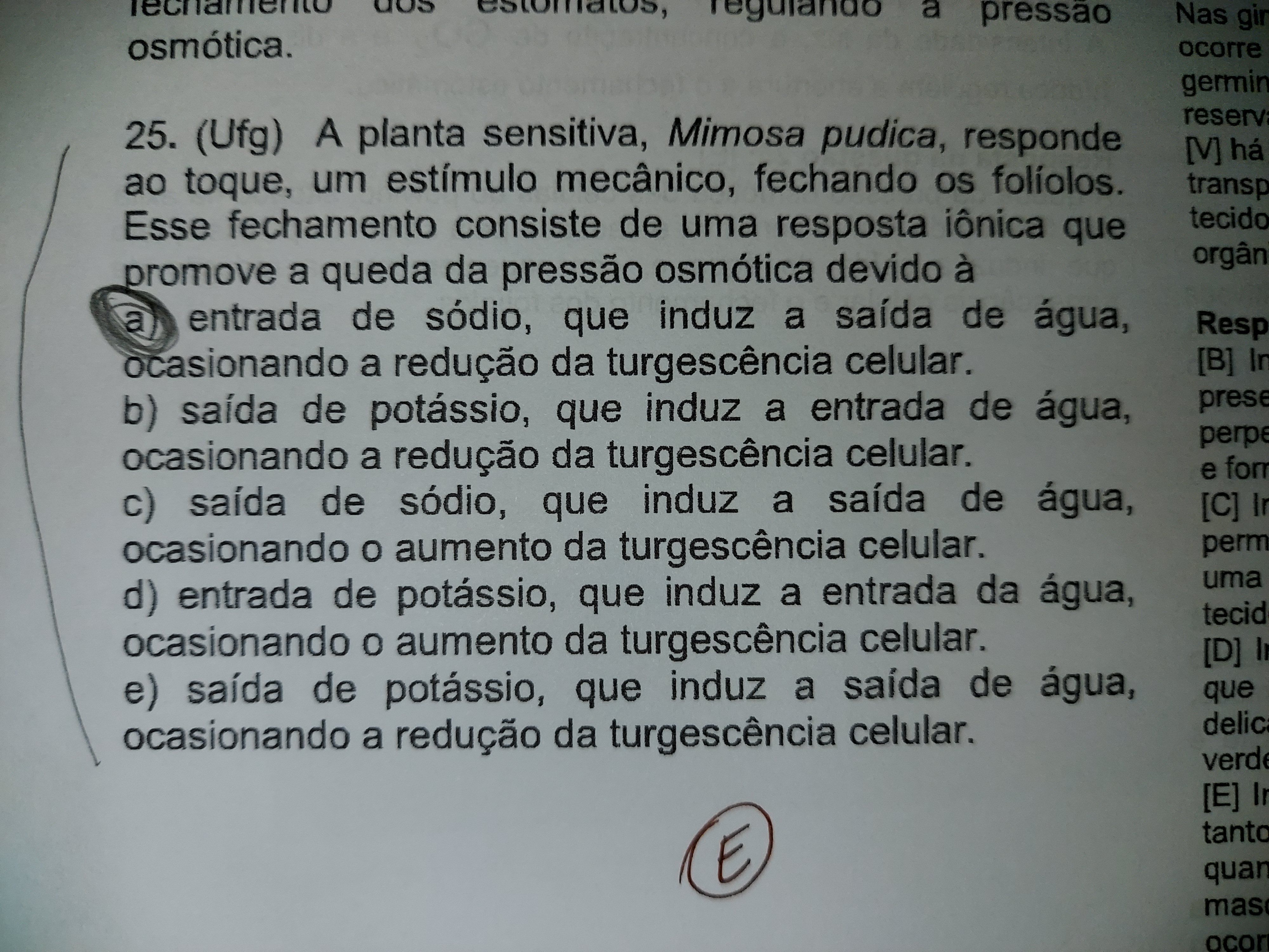 Alguém pode me explicar Explicaê