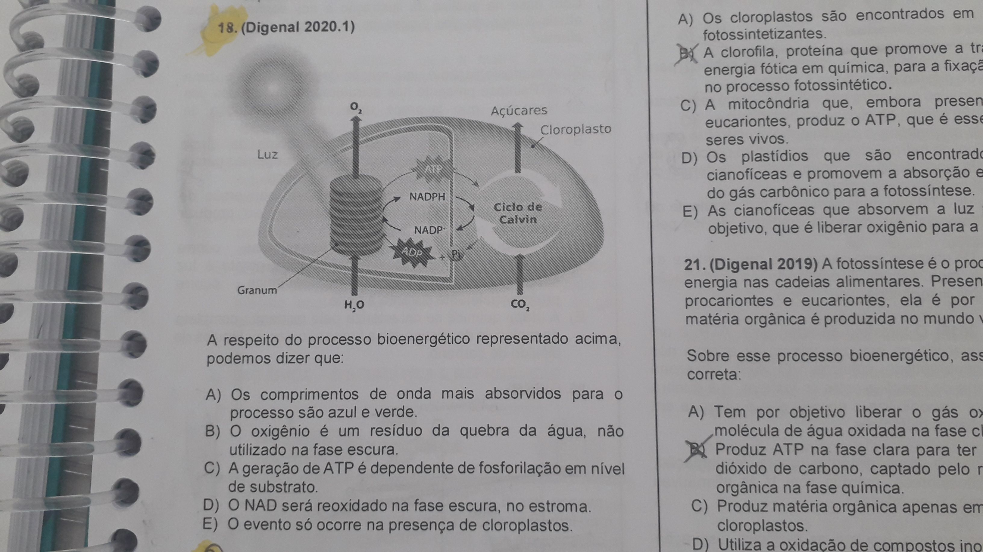 Oi Poderia Me Explicar A Alternativa Correta E Pq As Outras Explica