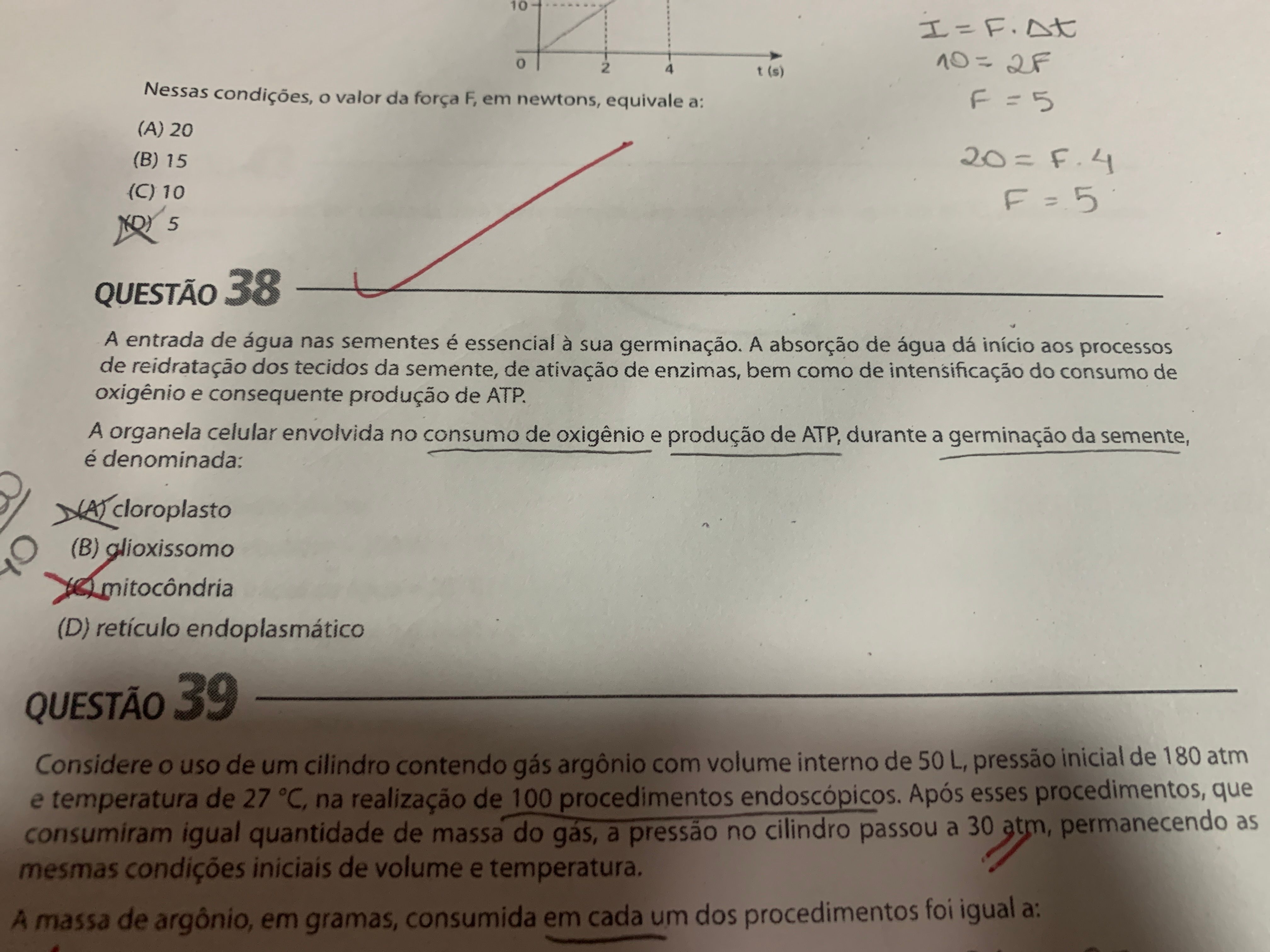 Boa tarde pode me ajudar nessa questão O gabarito é letra Explicaê