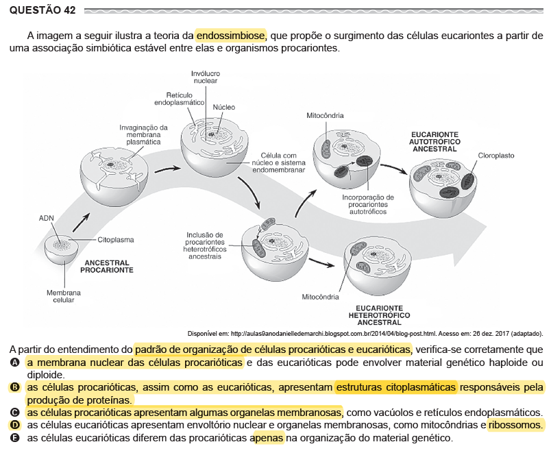 Oi N Entendi Pq Letrab E N O D Explica