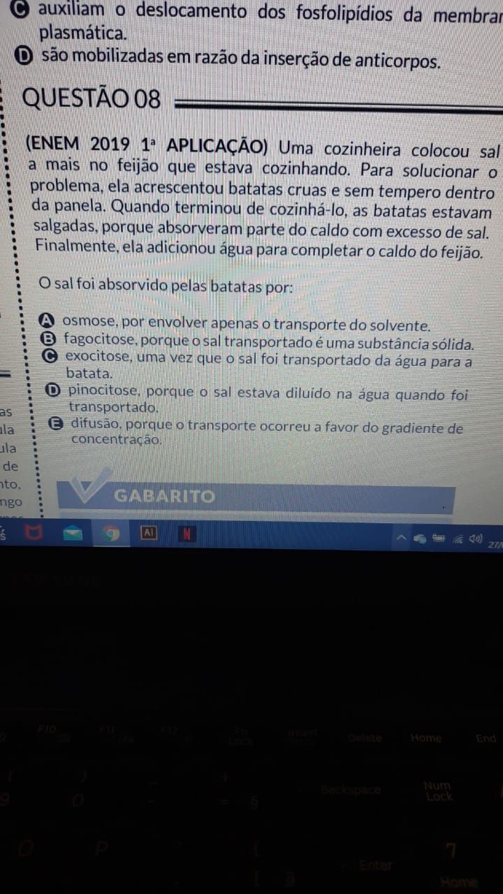 Ol Poderia Me Explicar Essa Quest O E Dizer O Faz As Out Explica