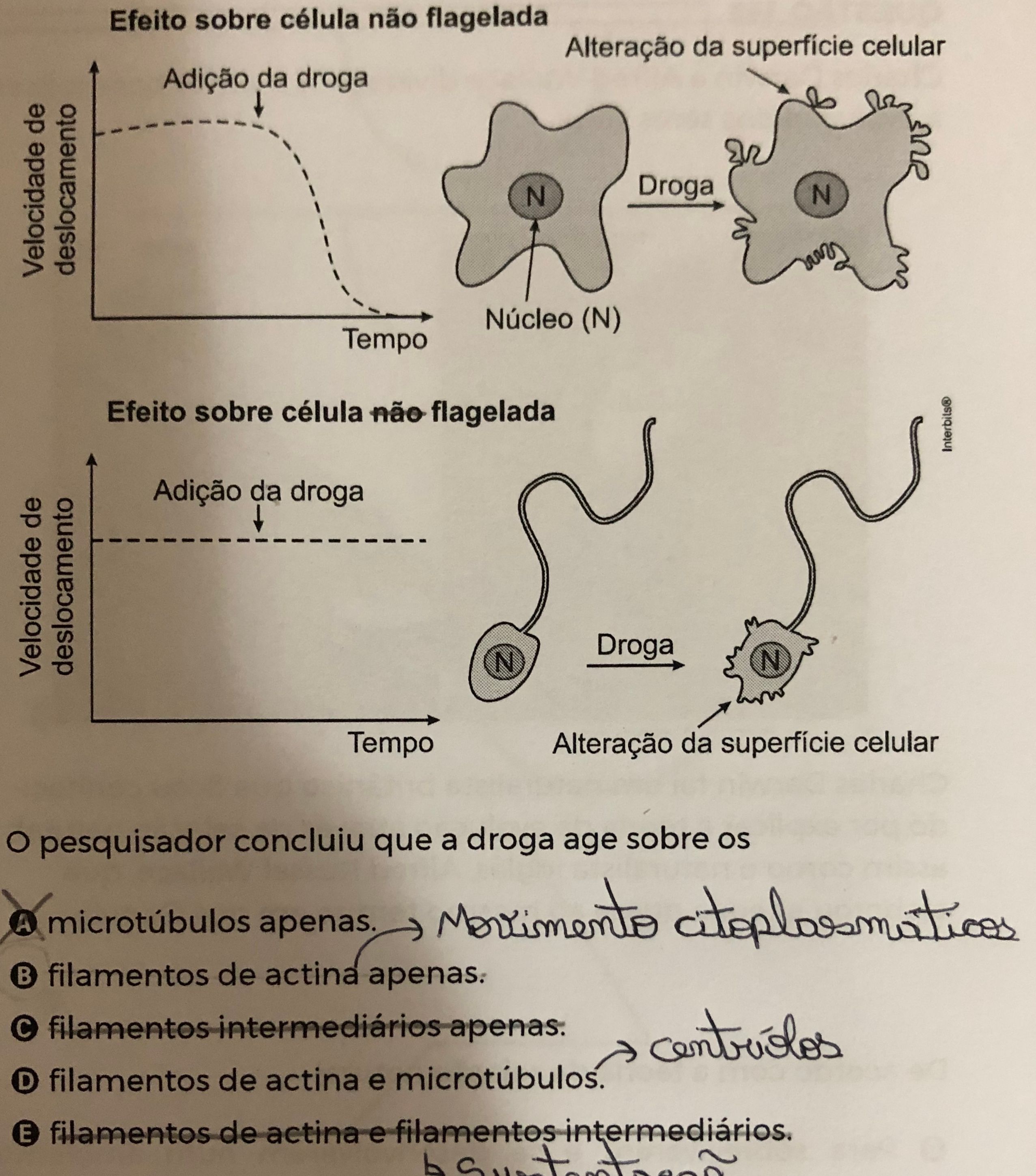 A Resposta Da Questão é Letra B. - Explicaê