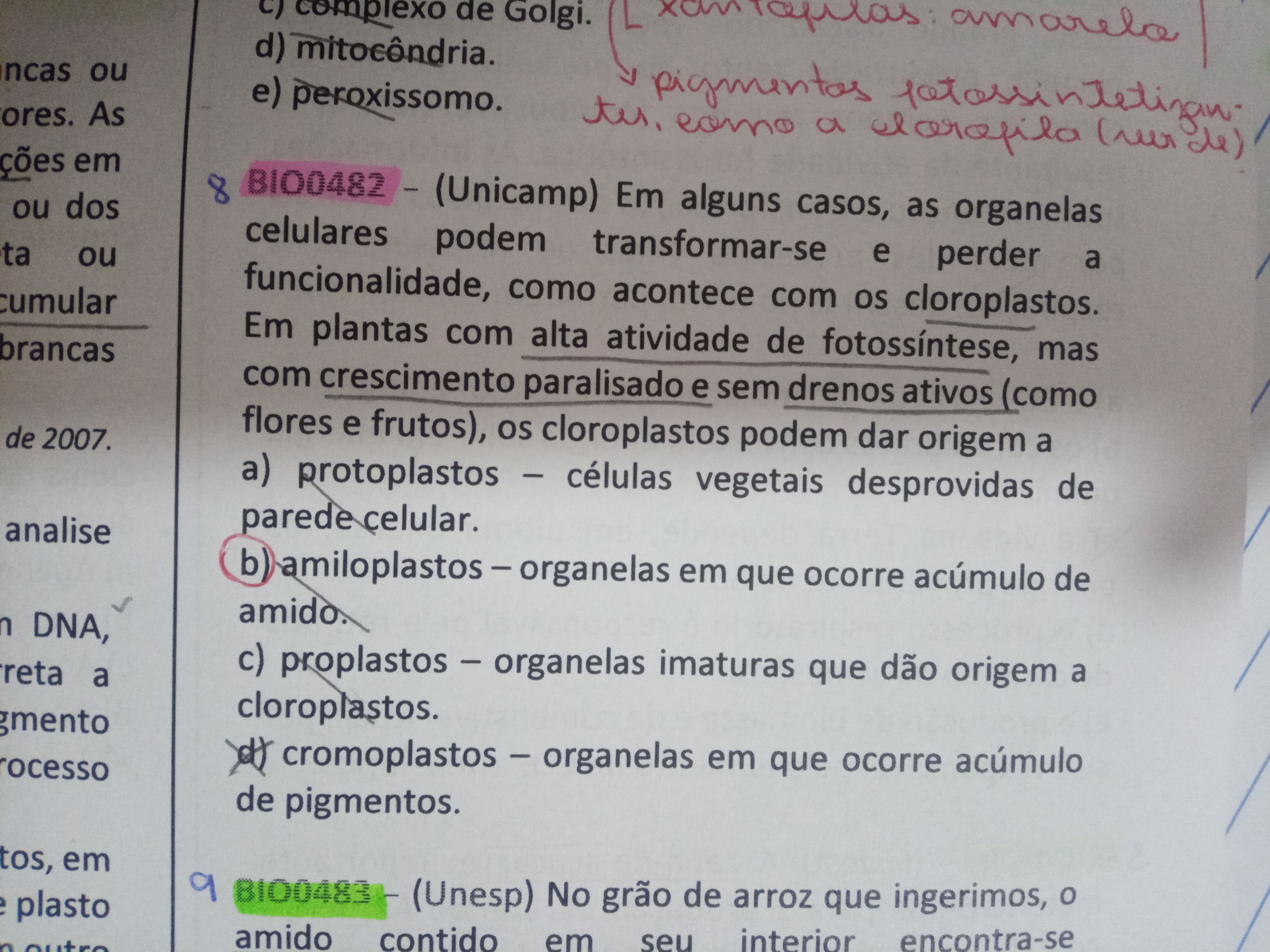 Oii, Eu Não Entendi Essa Questão. Gabarito B. Poderia Me Exp - Explicaê