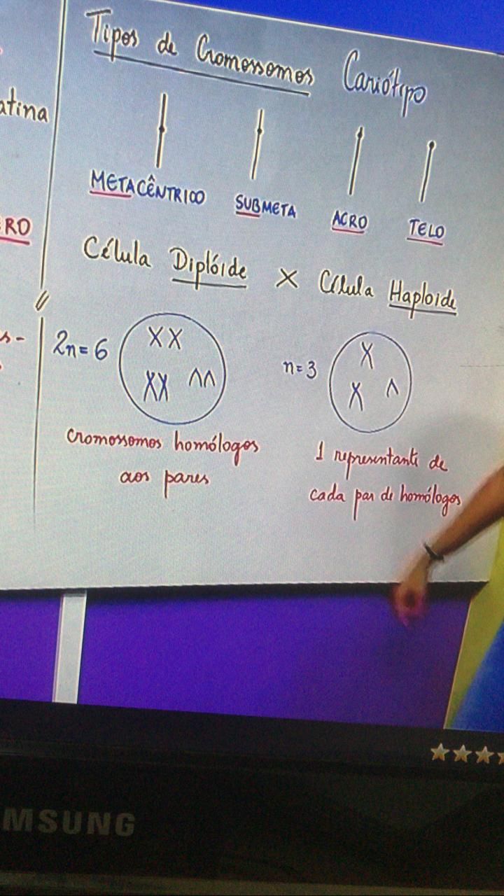 Compreendi A Celula Diploide, Mas Pq A Celula Haploide Possu - Explicaê