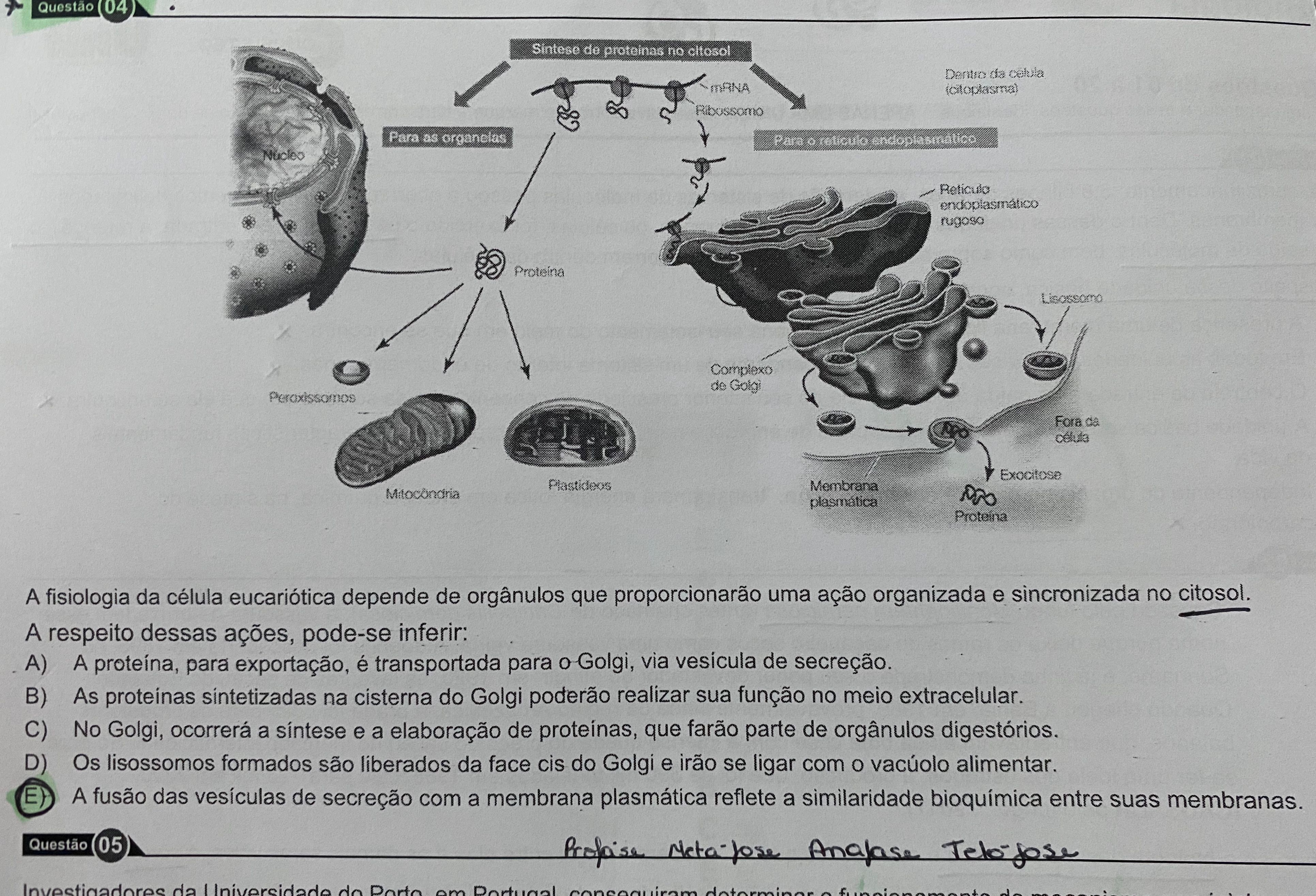 Os Dois Exemplos Abaixo Referem-Se A Anomalias Organicas Que Ocorrem