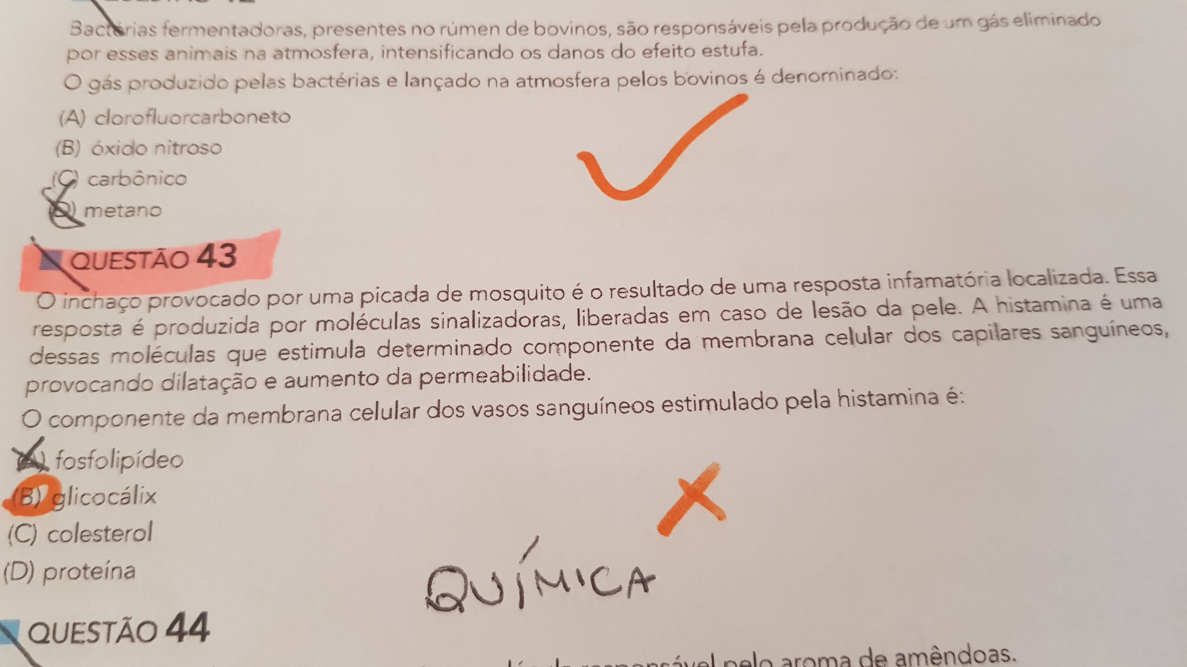 Me Ajuda Com Essa? Gabarito é BPq N é Letra A? - Explicaê