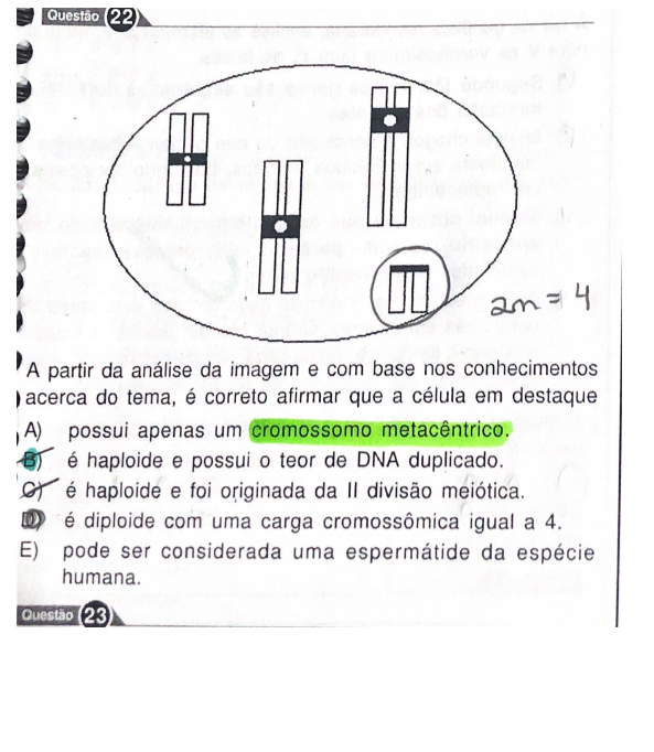 Boa Tarde Eu Não Entedi Porque Essa Celula Nao é Diploide 2 Explicaê 9931