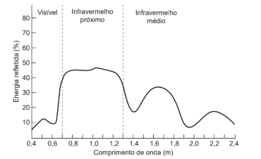 MUITOS PRIMATAS, INCLUINDO NÓS HUMANOS, POSSUEM VISÃO TRICROMÁTICA